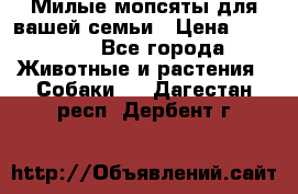 Милые мопсяты для вашей семьи › Цена ­ 20 000 - Все города Животные и растения » Собаки   . Дагестан респ.,Дербент г.